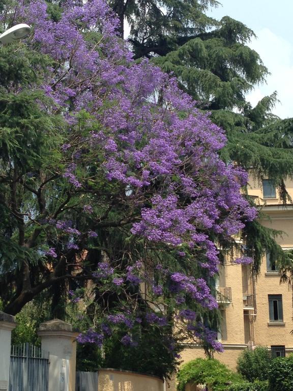 Room In Roma Isole מראה חיצוני תמונה